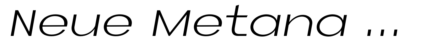 Neue Metana Light Italic